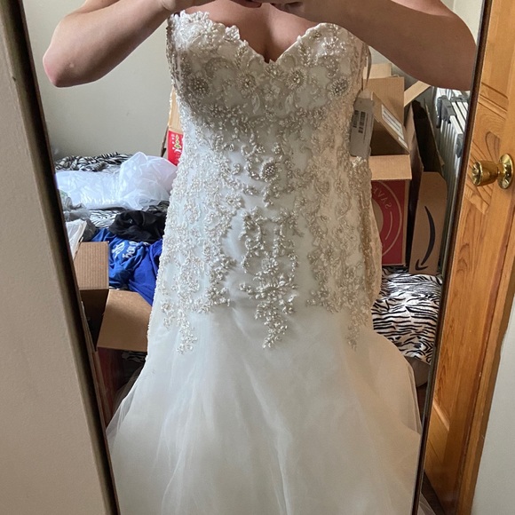 Maggie Sottero Wedding Dress - Picture 2 of 9